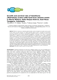 Growth and Survival Rate of Holothuria