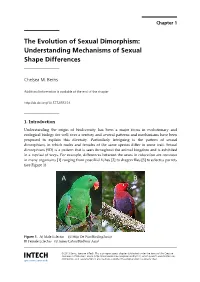 The Evolution of Sexual Dimorphism: Understanding Mechanisms of Sexual Shape Differences