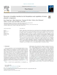 Discovery of Modules Involved in the Biosynthesis and Regulation of Maize Phenolic Compounds T