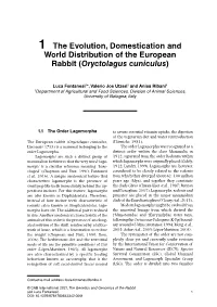 World Distribution of the European Rabbit (Oryctolagus Cuniculus)