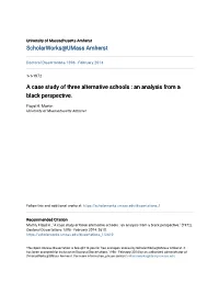 A Case Study of Three Alternative Schools : an Analysis from a Black Perspective