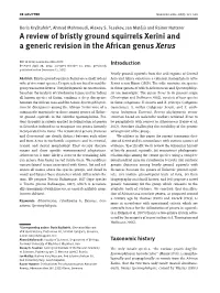 A Review of Bristly Ground Squirrels Xerini and a Generic Revision in the African Genus Xerus