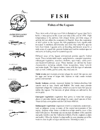 Fish Species and for Eggs and Larvae of Larger Fish