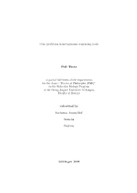 Gene Prediction in Metagenomic Sequencing Reads Phd