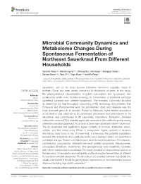 Microbial Community Dynamics and Metabolome Changes During Spontaneous Fermentation of Northeast Sauerkraut from Different Households