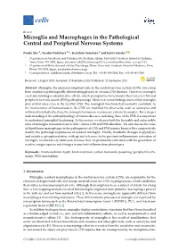 Microglia and Macrophages in the Pathological Central and Peripheral Nervous Systems