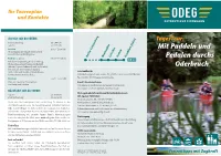 Mit Paddeln Und Pedalen Durchs Oderbruch