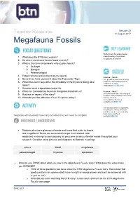 Megafauna Fossils