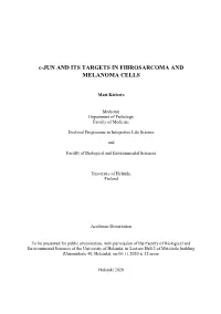 C-JUN and ITS TARGETS in FIBROSARCOMA and MELANOMA CELLS