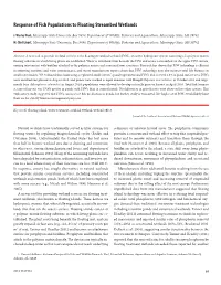 Response of Fish Populations to Floating Streambed Wetlands