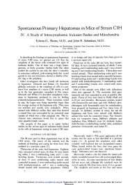Spontaneous Primary Hepatomas in Mice of Strain C3H IV