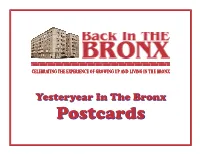 Yesteryear in the Bronx Yesteryear in the Bronx
