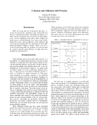 Cohesion and Adhesion with Proteins
