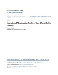 Mechanisms of Deadenylation Regulation Under Different Cellular Conditions