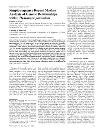 Simple-Sequence Repeat Marker Analysis of Genetic Relationships