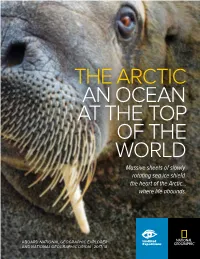 THE ARCTIC an OCEAN at the TOP of the WORLD Massive Sheets of Slowly Rotating Sea Ice Shield the Heart of the Arctic