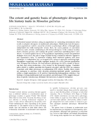 The Extent and Genetic Basis of Phenotypic Divergence in Life History Traits in Mimulus Guttatus