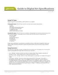 Guide to Digital Art Specifications