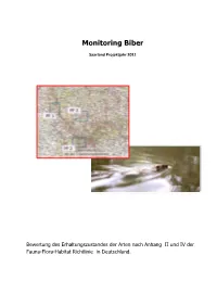 Monitoring Biber