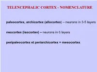 Paleocortex, Archicortex (Allocortex) – Neurons in 3-5 Layers Neocortex (Isocortex) – Neurons in 6 Layers Peripaleocortex Et Periarchicortex = Mesocortex