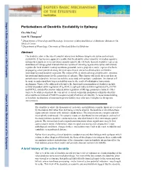 Perturbations of Dendritic Excitability in Epilepsy