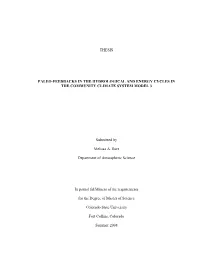Thesis Paleo-Feedbacks in the Hydrological And
