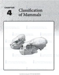 Classification of Mammals 61