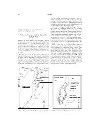 Notes on the Mammals of Turneffe Atoll, Belize