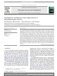 Postembryonic Development of the Unique Antenna of Mantophasmatodea (Insecta)