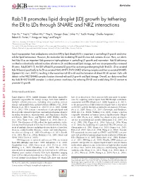 Rab18 Promotes Lipid Droplet (LD) Growth by Tethering the ER to Lds Through SNARE​ and NRZ Interactions