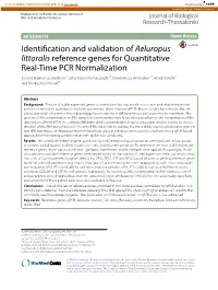 Identification and Validation of Aeluropus Littoralis Reference Genes