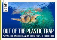 Saving the Mediterranean from Plastic Pollution