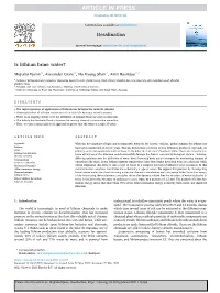 Is Lithium Brine Water? (Desalination)