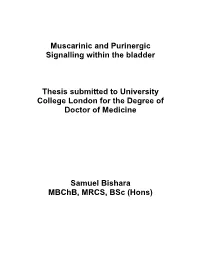 Muscarinic and Purinergic Signalling Within the Bladder