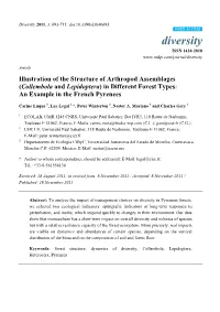 Collembola and Lepidoptera) in Different Forest Types: an Example in the French Pyrenees