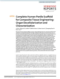 Complete Human Penile Scaffold for Composite Tissue Engineering