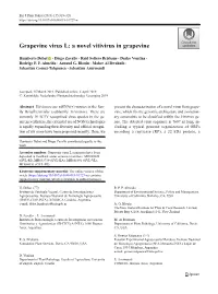 Grapevine Virus L: a Novel Vitivirus in Grapevine