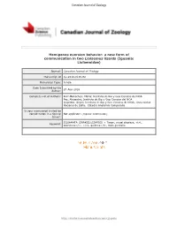 Hemipenes Eversion Behavior: a New Form of Communication in Two Liolaemus Lizards (Iguania: Liolaemidae)