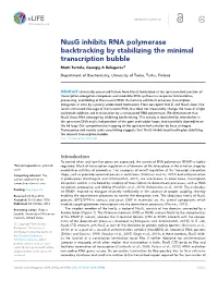 Nusg Inhibits RNA Polymerase Backtracking by Stabilizing the Minimal Transcription Bubble Matti Turtola, Georgiy a Belogurov*
