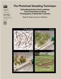 The Photoload Sampling Technique: Estimating Surface Fuel Loadings from Downward-Looking Photographs of Synthetic Fuelbeds