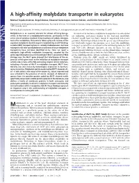 A High-Affinity Molybdate Transporter in Eukaryotes