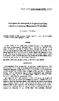 Description of a New Species of Anagrus from China Related to A