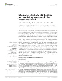Integrated Plasticity at Inhibitory and Excitatory Synapses in the Cerebellar Circuit