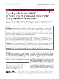 Physiological Effects of KDM5C on Neural Crest Migration and Eye