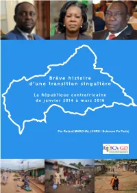 Brève Histoire D'une Transition Singulière