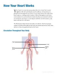 How Your Heart Works