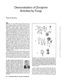 Demonstration of Zoospore Activities by Fungi