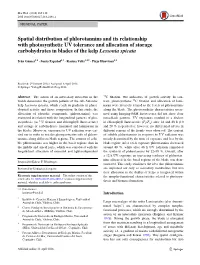 Spatial Distribution of Phlorotannins and Its Relationship With
