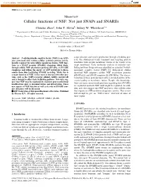 Cellular Functions of NSF: Not Just Snaps and Snares