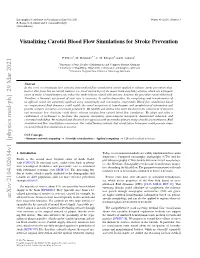 Visualizing Carotid Blood Flow Simulations for Stroke Prevention